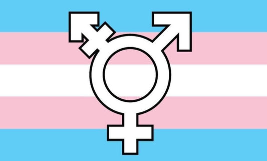 LGBTQ Transgender pride Flag 3 x 5" Free Shipping