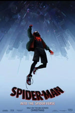 SPIDER-MAN: INTO THE SPIDER-VERSE Movie POSTER 22.375"  x 34"  Shameik Moore 