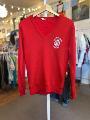 Vintage 1960's/70s University of Paris Universite de Paris V-neck sweater Size Small