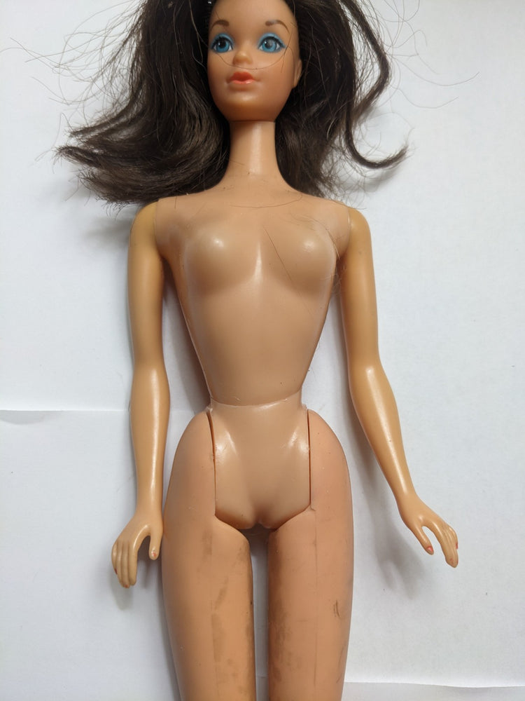 Vtg 1970s (Busy?)  Steffie Barbie  #3312 Babs #7888 TNT Body Brunette